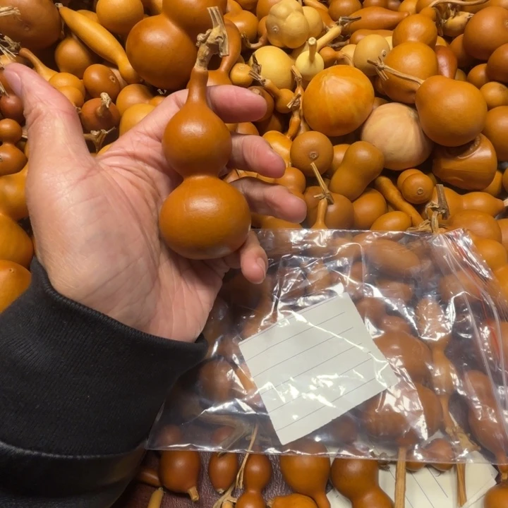 俊*堂俊杰唐大哥的一把天津子葫芦