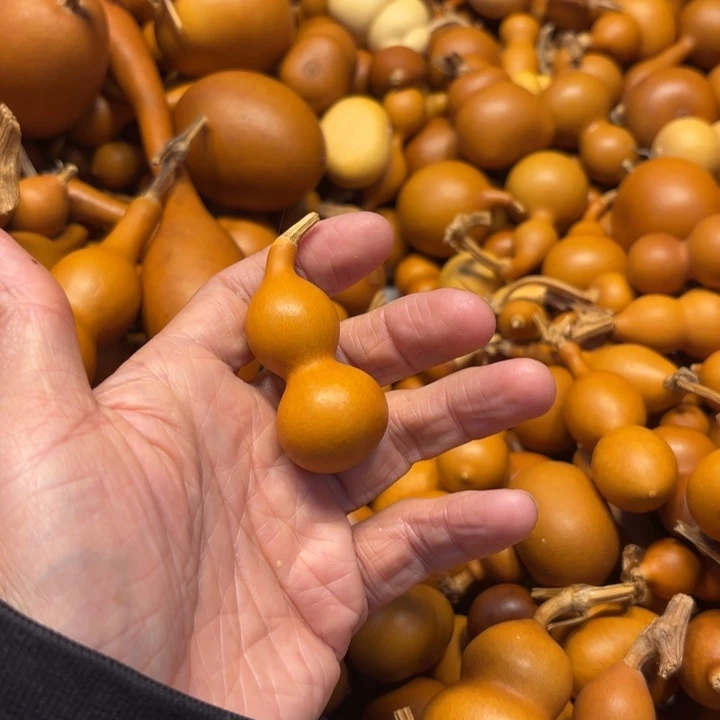 有*有才大哥的一把天津哲妈