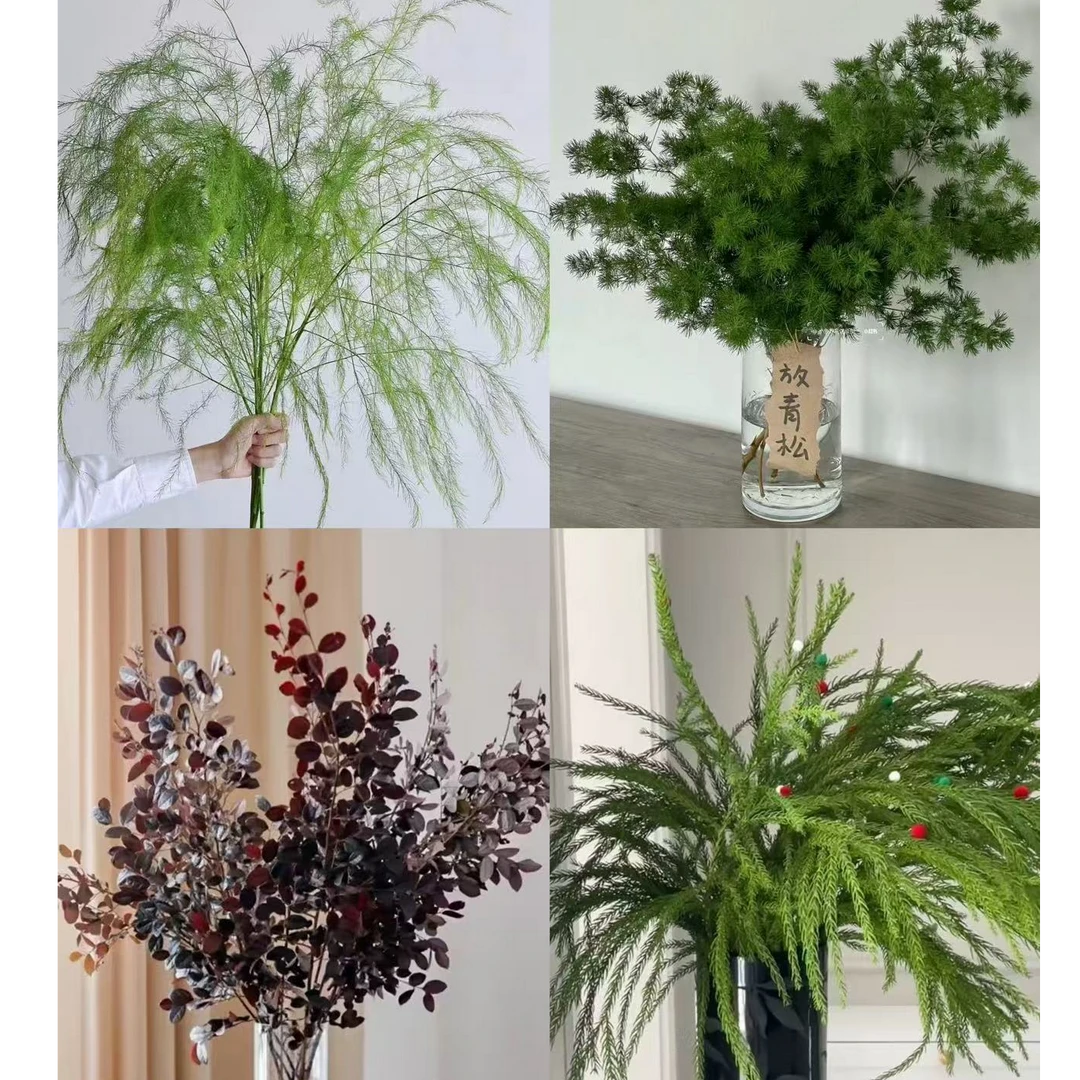 【配草】优质新鲜 婚庆宴会搭配叶材【全店凑两单顺丰包邮】