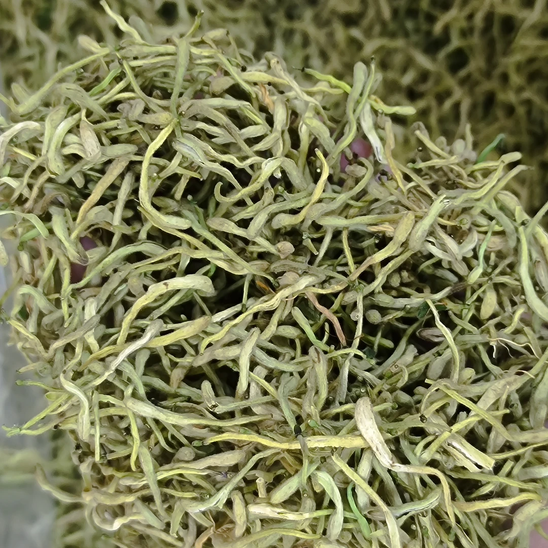 F 正宗头茬金银花 正宗头茬金银花