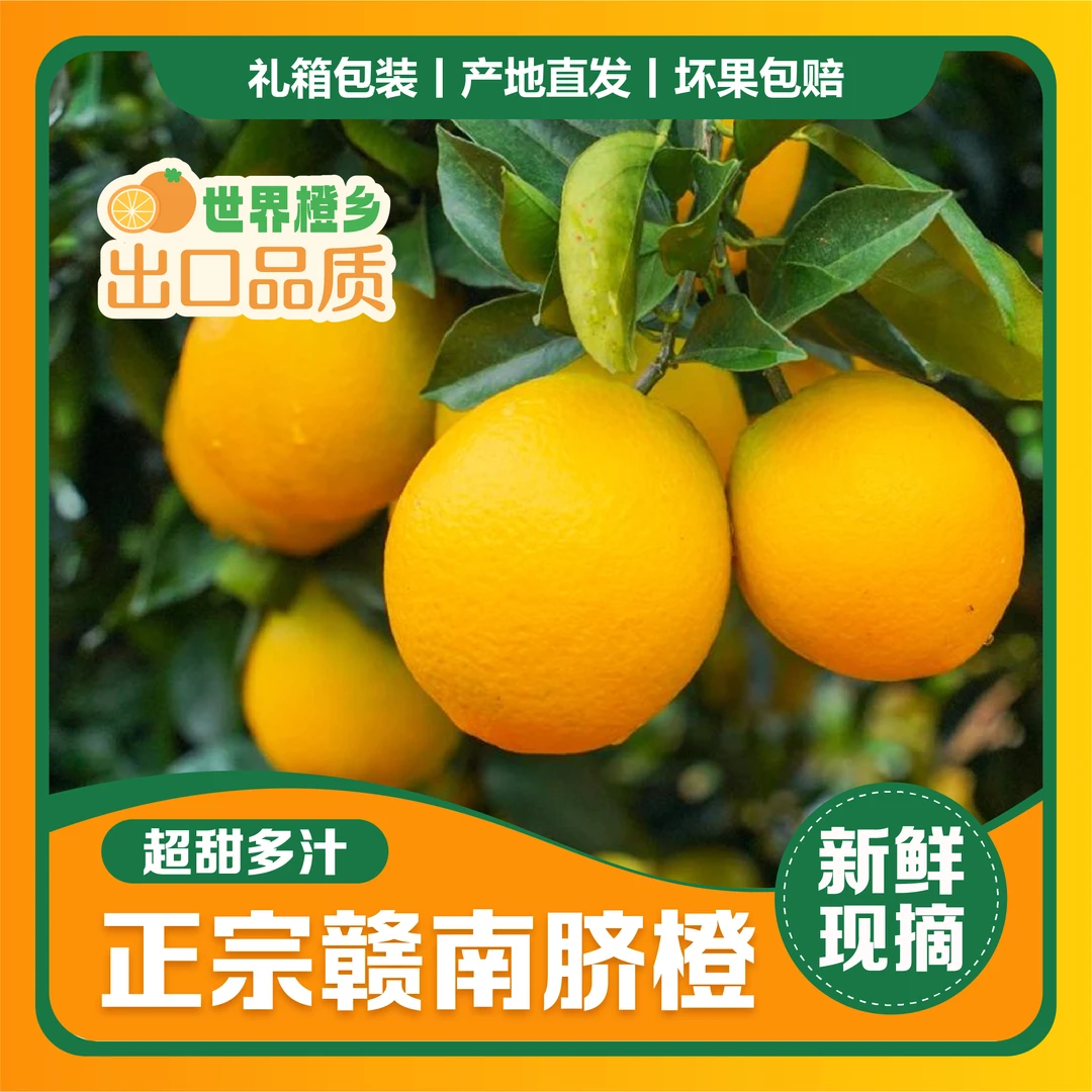 【正宗赣南脐橙】特产水果应季橙纽荷尔橙坏果包赔江西赣州产地直发
