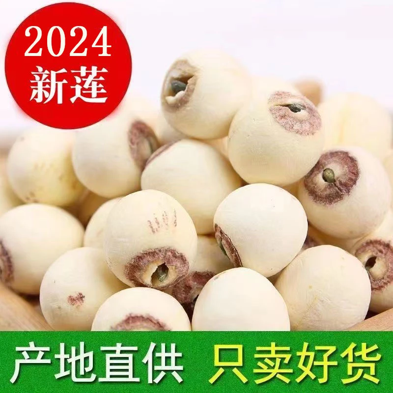 【新鲜现货】无芯莲子500g去心去皮湘白莲子无芯干货白莲子一斤批发