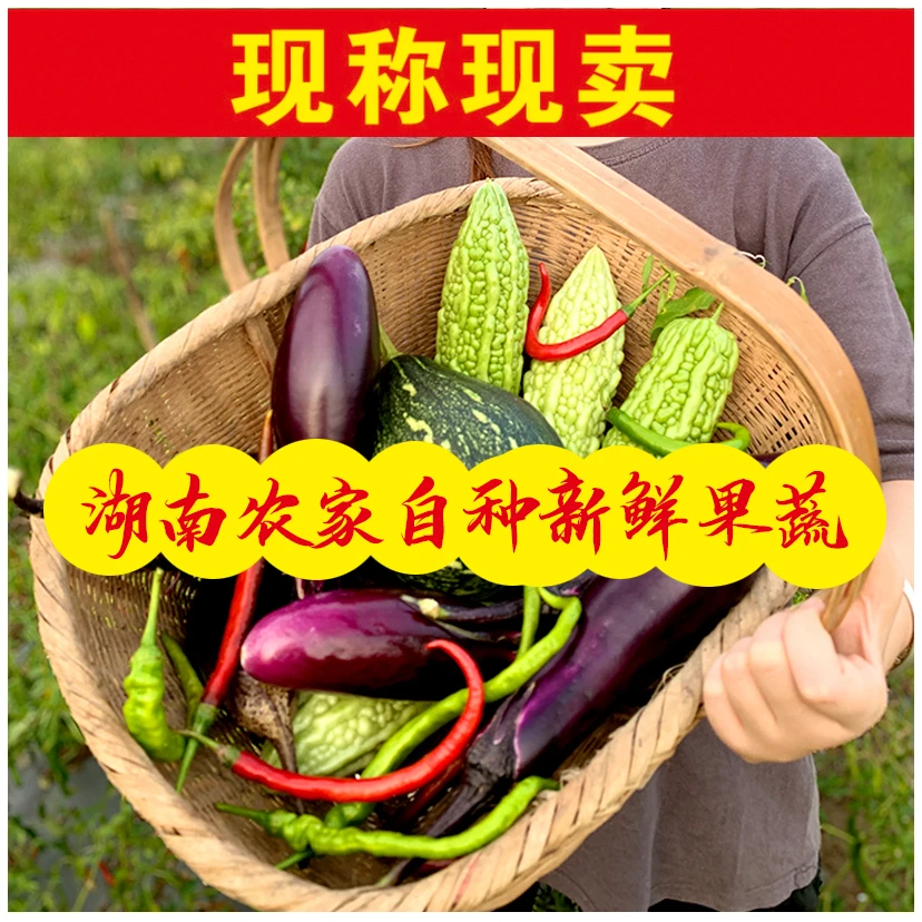 【园哥代购】蔬菜类本地青椒 茄子 四季豆 南瓜 峨眉豆 黄瓜  红薯
