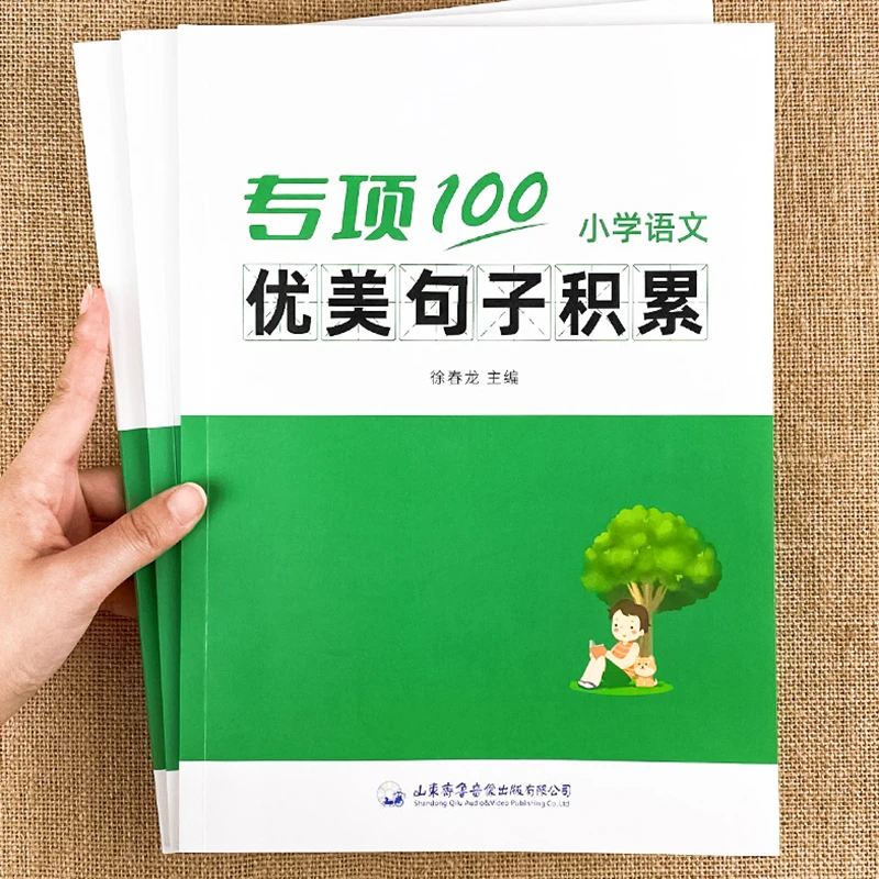 小学生语文优美句子积累大全练习本字词句语法突破专项100训练册
