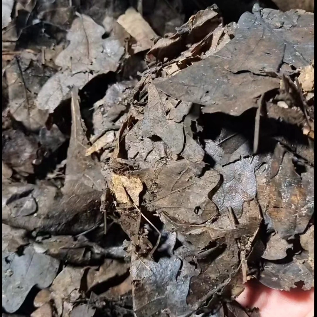 君子兰专用营养土(5.8－6斤)*偏远地区不包邮