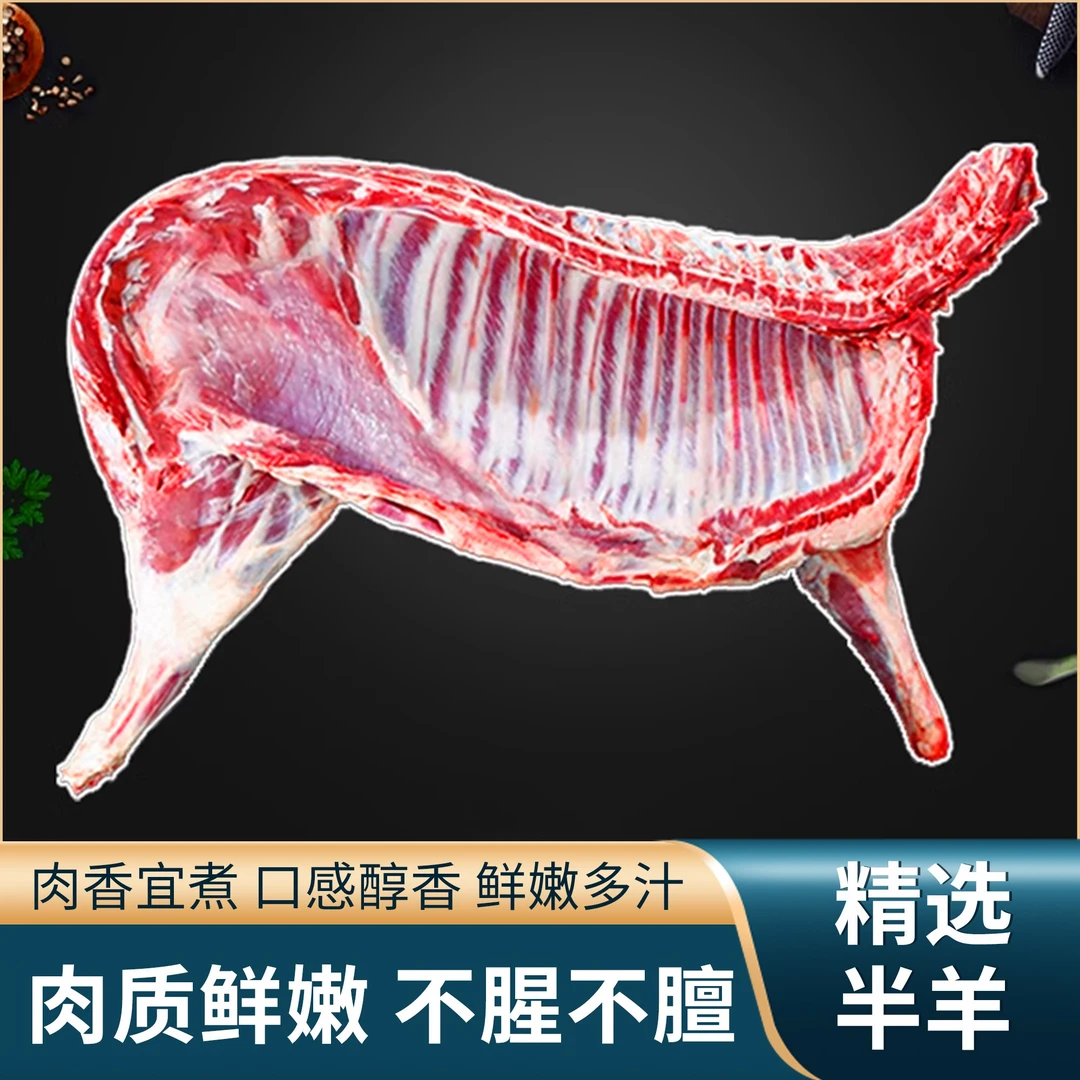 散养羔羊半羊【拍5斤送4斤】羊腿 羊排 羊蝎子分割切块