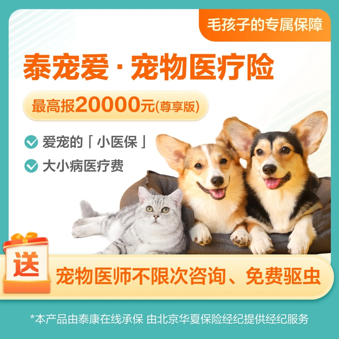 泰宠爱∙宠物医疗险