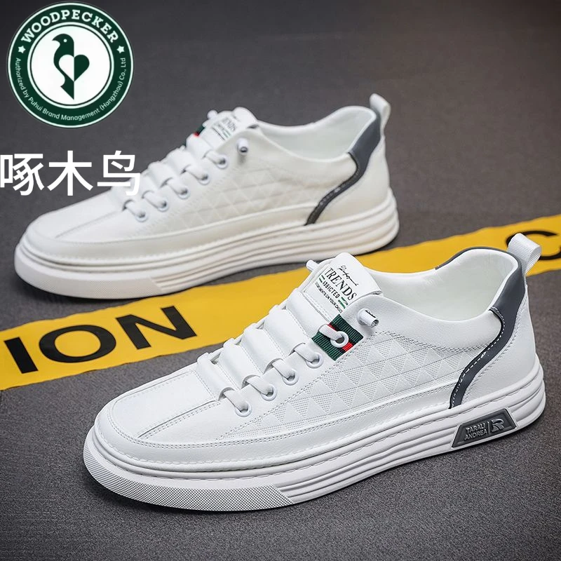 啄木鸟男鞋新款新款男士小白鞋休闲潮鞋透气潮流板鞋百搭脚蹬