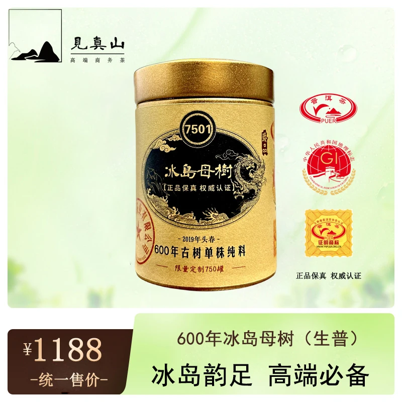 【镇店之宝】2019年冰岛母树600年古树纯料 生茶35g
