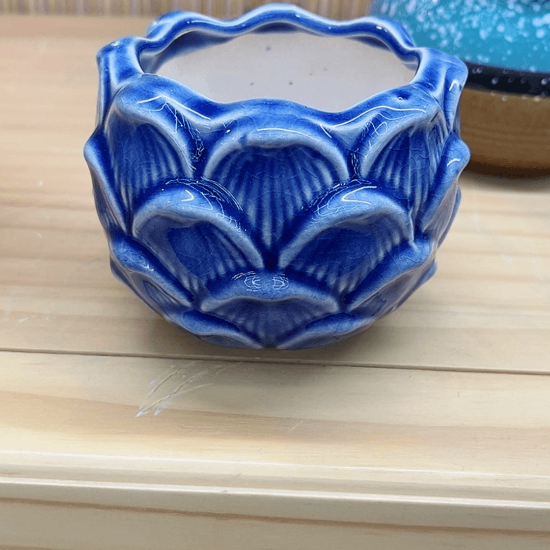 【闪购商品】陶瓷20CM以下