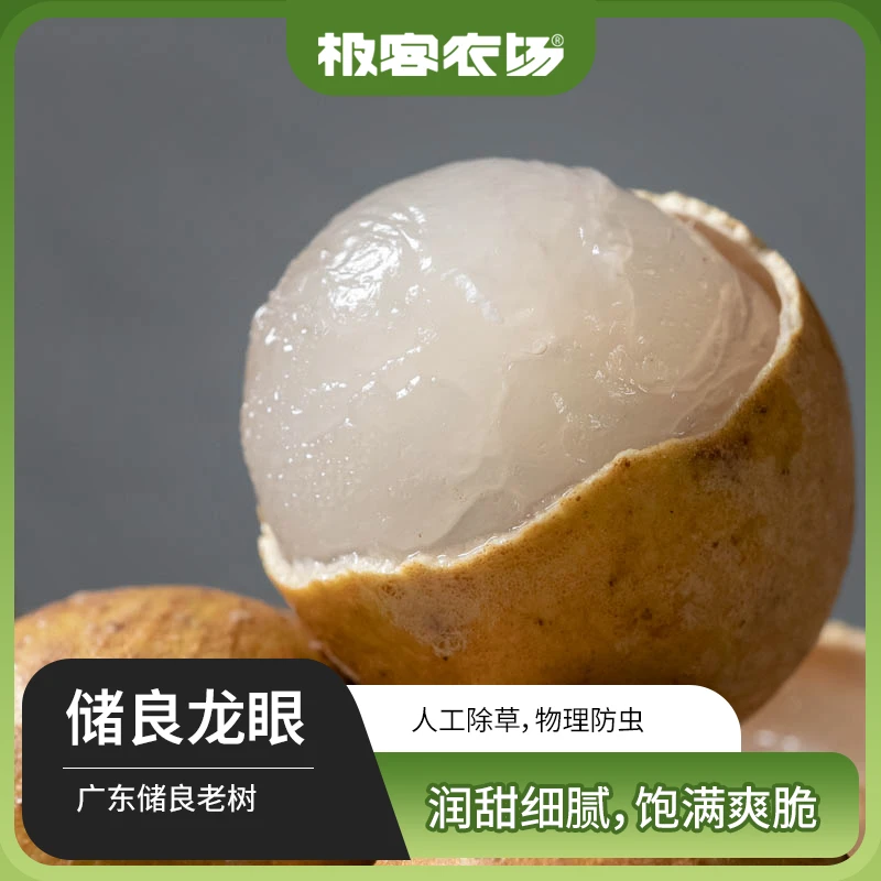 广东高州储良龙眼果肉乳白不透明肉厚核小爽脆味浓甜带枝发货3斤