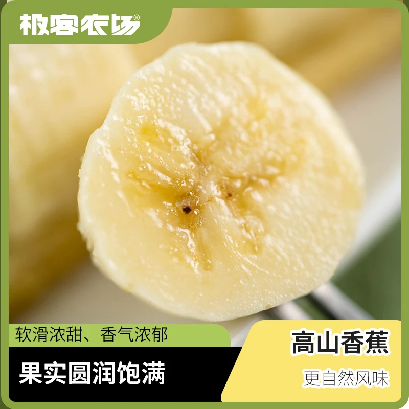 高山香蕉软糯香甜 到货放置2-3天即可食用 4斤坏果包赔顺丰发货