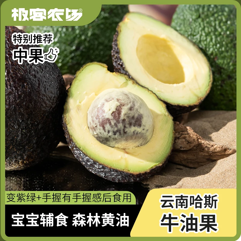 国货之光 云南哈斯牛油果 10只装单果（100g+) 【到货需催熟】顺丰