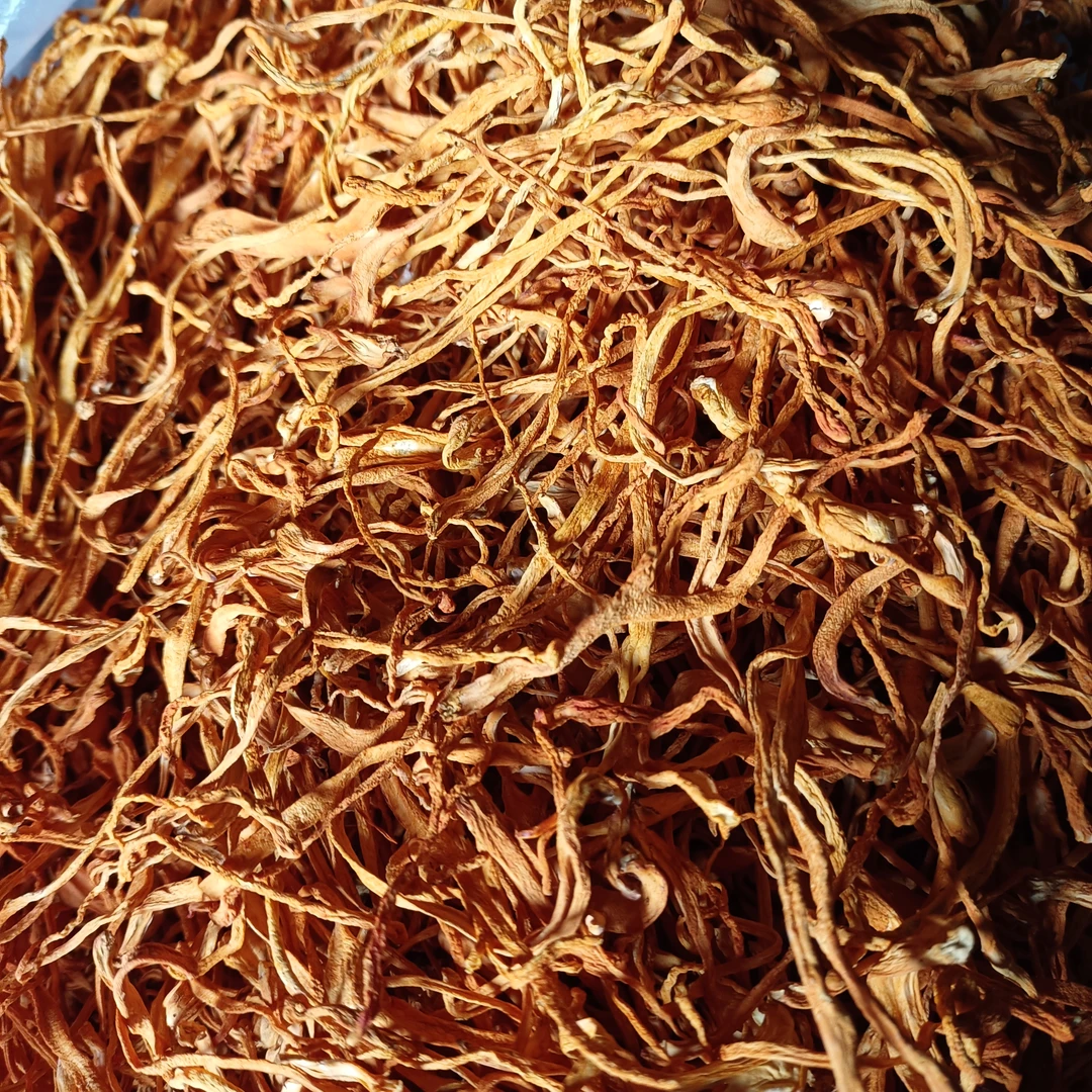 啊丽土特产虫，草，花