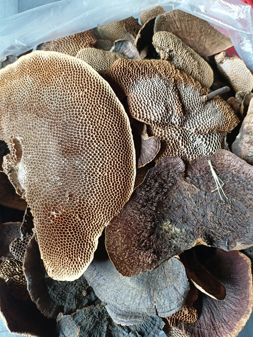 啊丽土特产蜂，窝，灵，芝