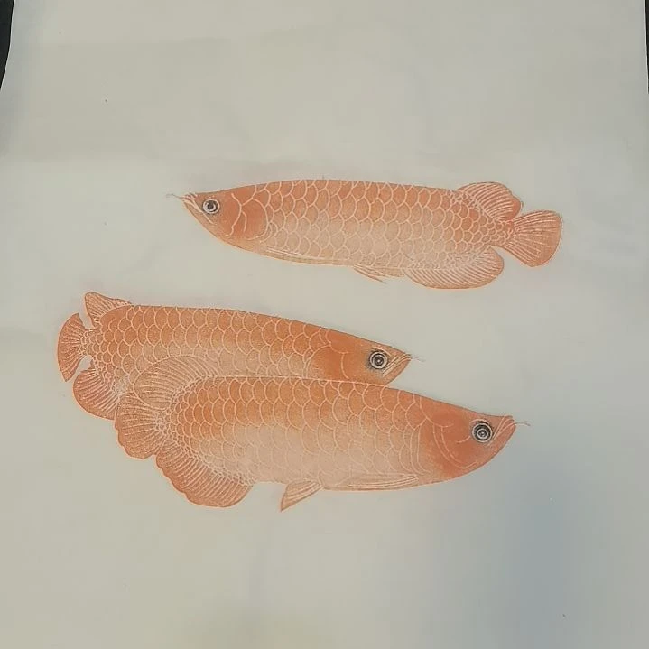 昌化石印石，金龙鱼拓片一张，尺寸四尺三开的纸
