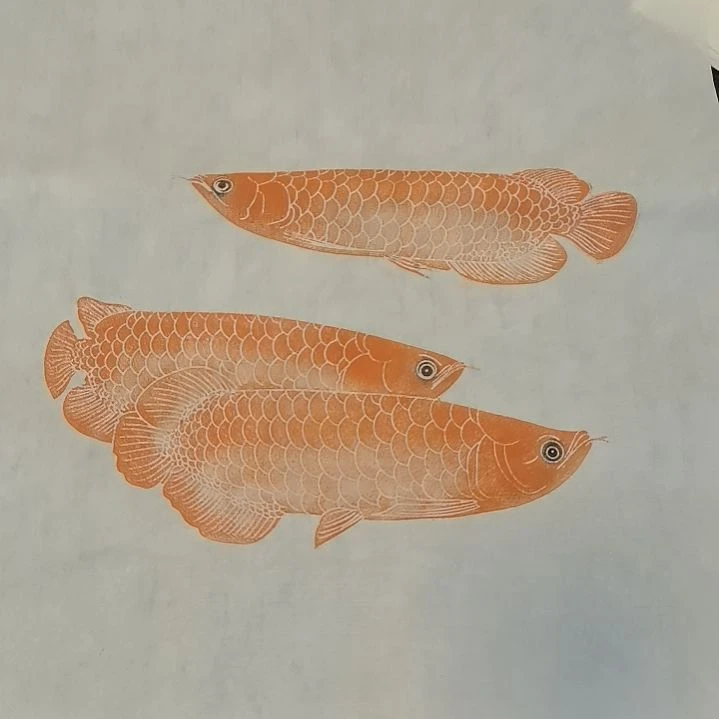 昌化石印石，鸿运当头金龙鱼拓片一张，尺寸四尺三开