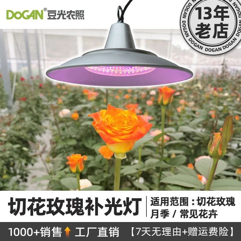50W切花玫瑰月季专用补光灯温室大棚阳台户外防水LED植物补光灯