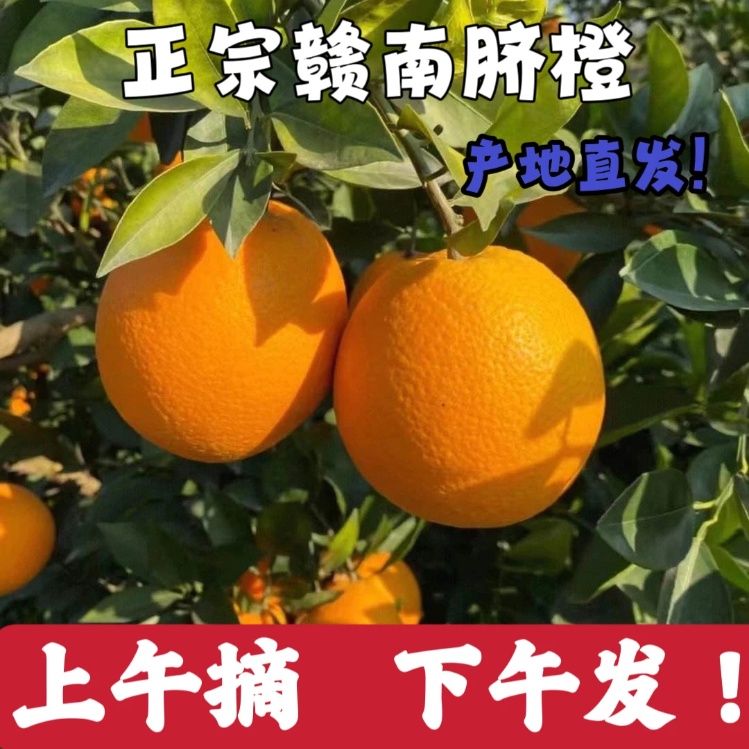 【坏果包赔】正宗赣南脐橙现摘新鲜橙子江西赣橙应季水果手剥橙皮薄
