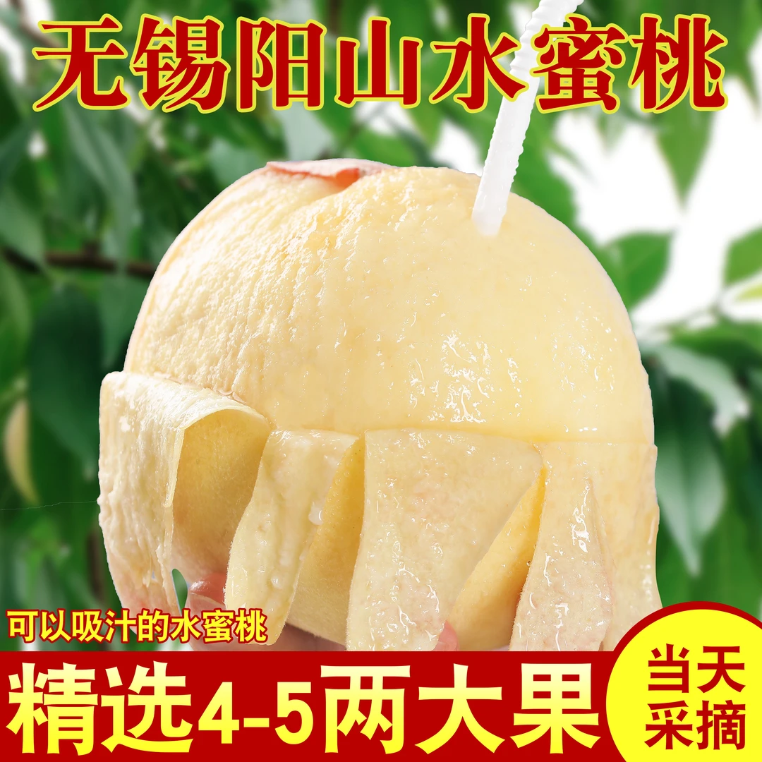 【正宗无锡阳山水蜜桃8颗装】高档礼盒包装桃应季当季湖景桃子