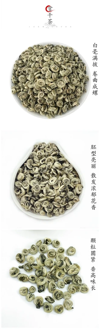 广西横县茉莉花茶叶玉螺王