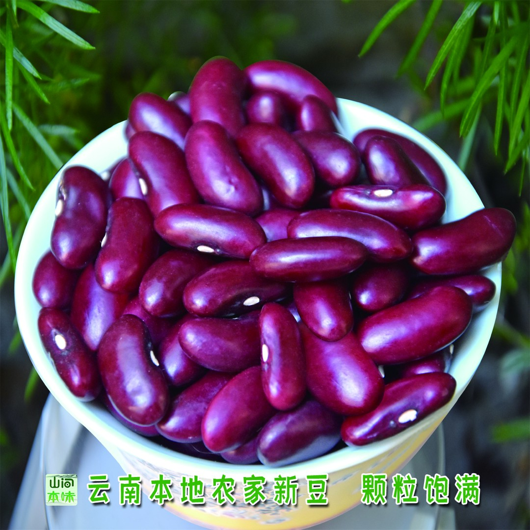 云南红豆老品种散装农家种植手工严选颗粒饱满新鲜熬粥红豆杂粮