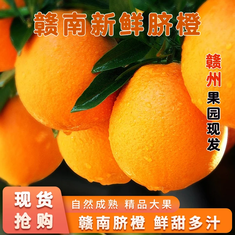 【爆款果王】正宗赣南脐橙新鲜应季水果产地直发鲜甜多汁10斤