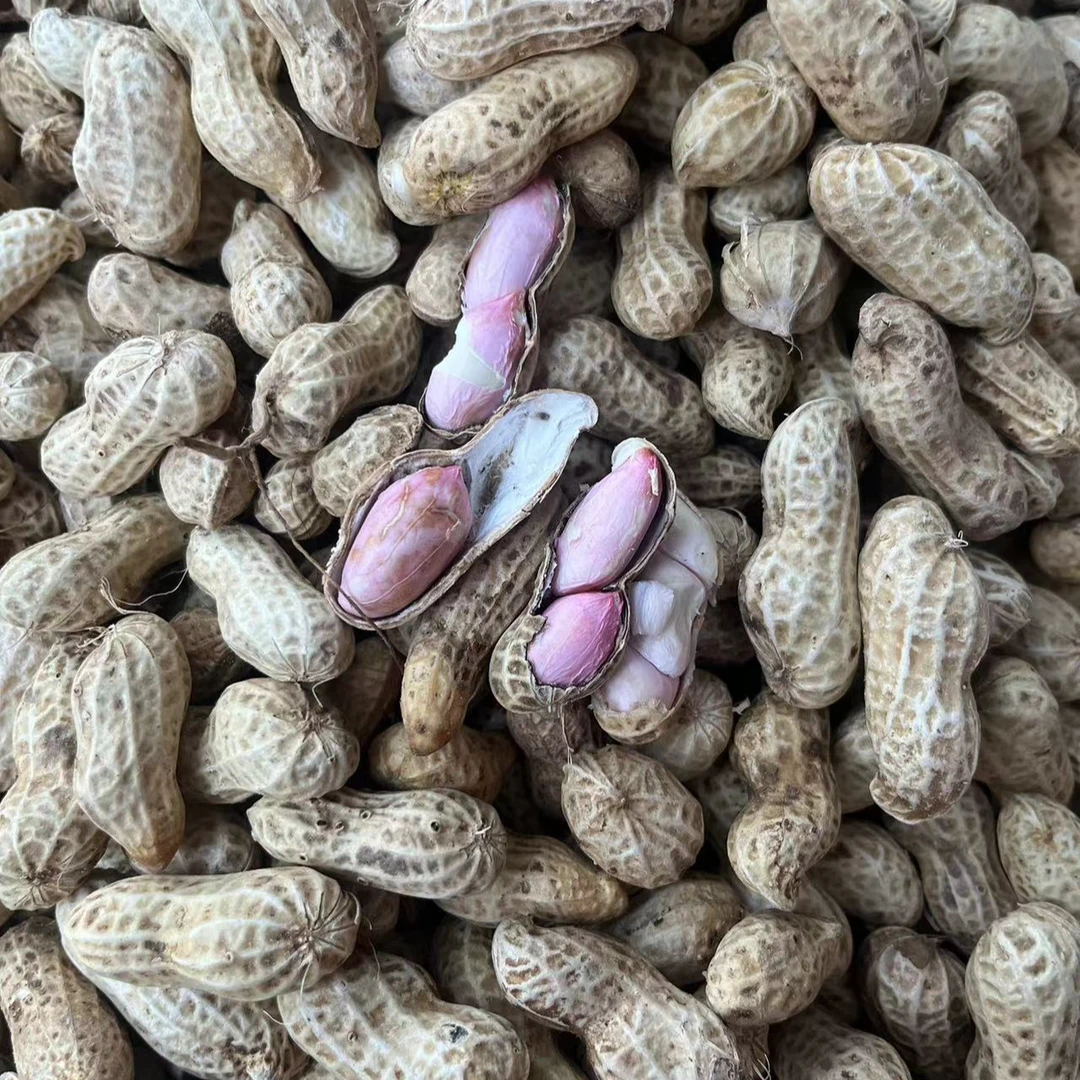 【赶集帮买】农村高山花生干花生农村干货土货