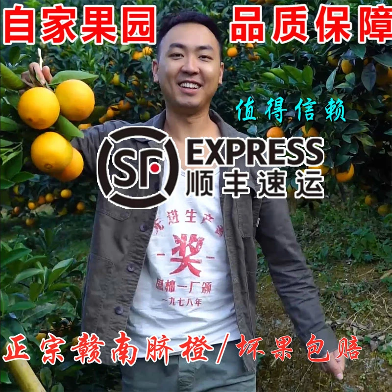 赣南脐橙 小江农社脐橙4斤5斤/10斤/20斤橙子采摘脐橙赣南地区