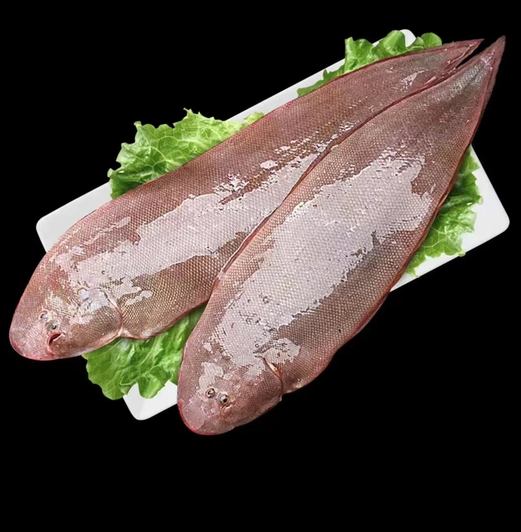 野生海捕龙利鱼 护眼鱼清蒸香煎新鲜海鱼