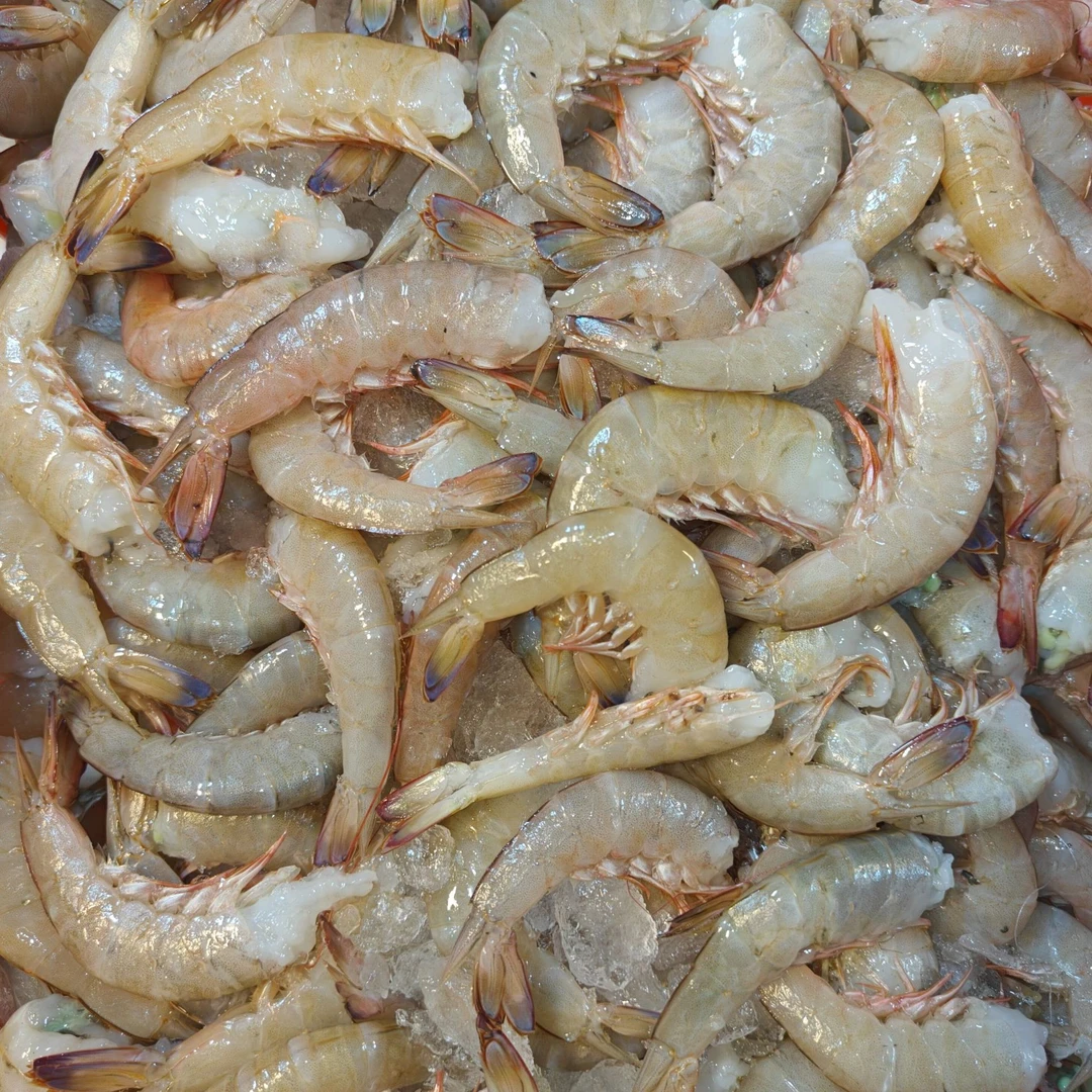 野生卢虾虾尾 麻虾虾尾海虾尾