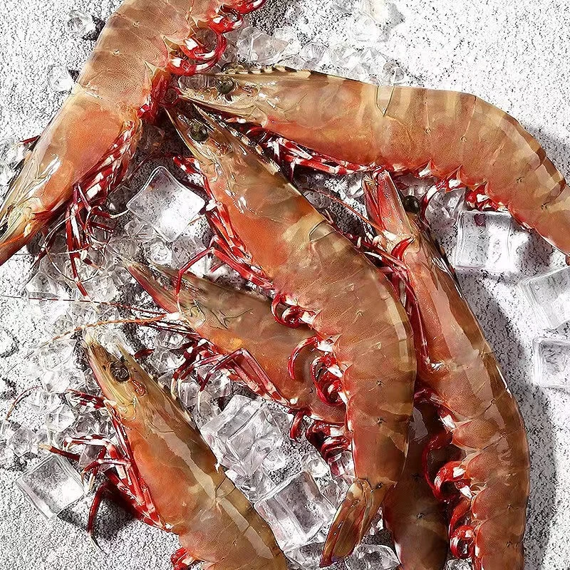 红爪虾大丰虾现称链接 新鲜野生海虾