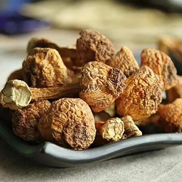 【姬松/茸】净含量500g -1500g