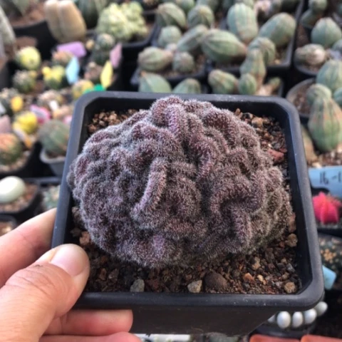 剛好我是這樣想就知道自己