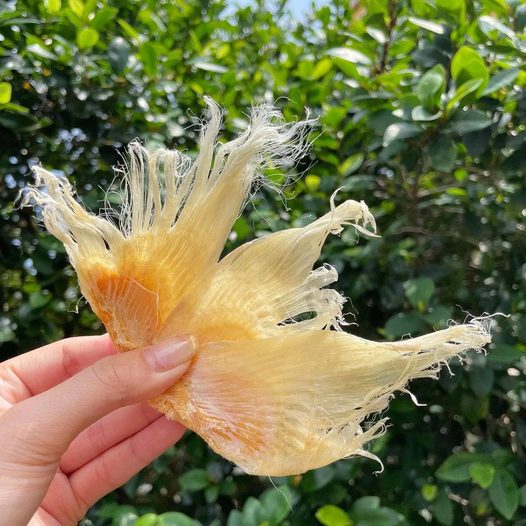 【悠淇专属】渔民自晒滑沙翅小翅仔海鲜干货煲汤原料炖汤胶质百合