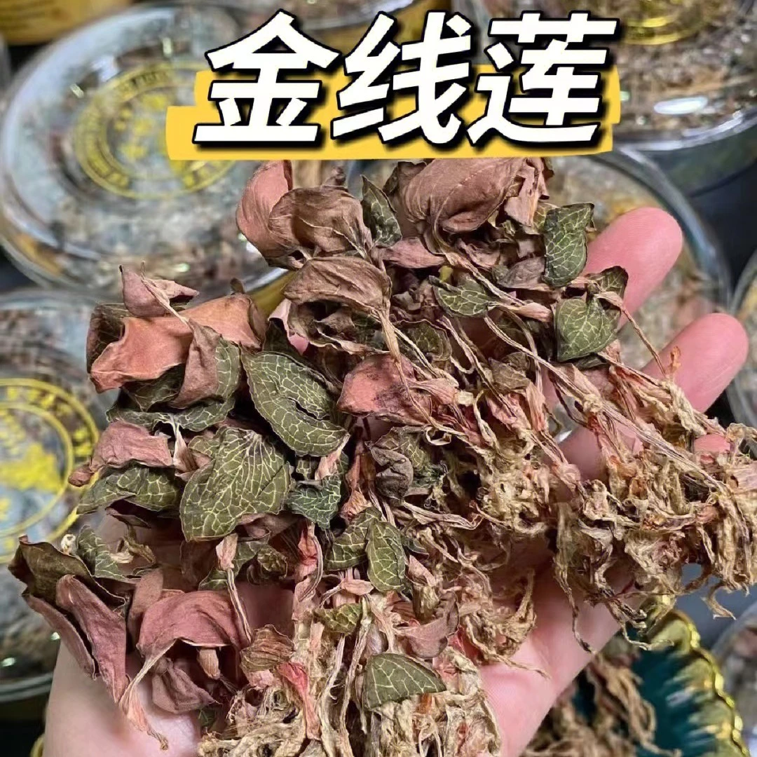 悠淇/金线莲福建红霞尖叶干品整株新鲜烘干药材养生煲汤煮水杞