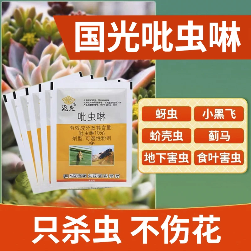 国光多肉吡虫啉杀虫剂蚜虫月季花卉小白药小黑飞花草除虫绿植通用