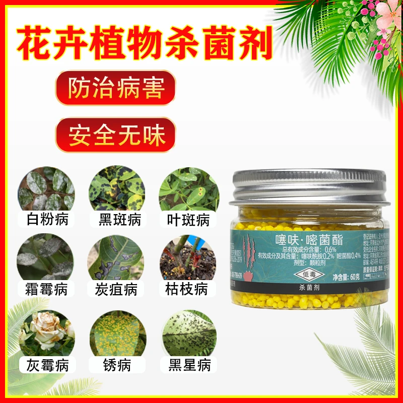 花卉植物杀菌剂噻呋酰胺嘧菌酯多肉防菌土壤补肥促花果白粉病真菌