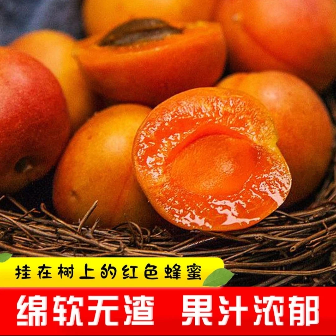 新疆喀什木亚格杏 产地直发空运包邮（3斤）