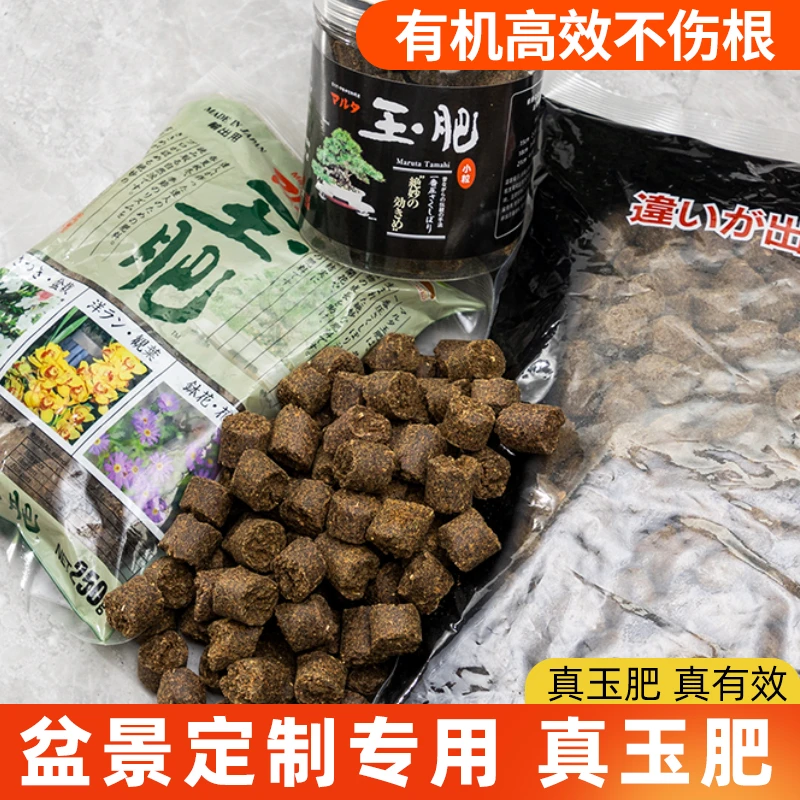 日本原装进口玉肥盆景专用肥料松柏长效有机缓释肥颗粒花肥分装肥