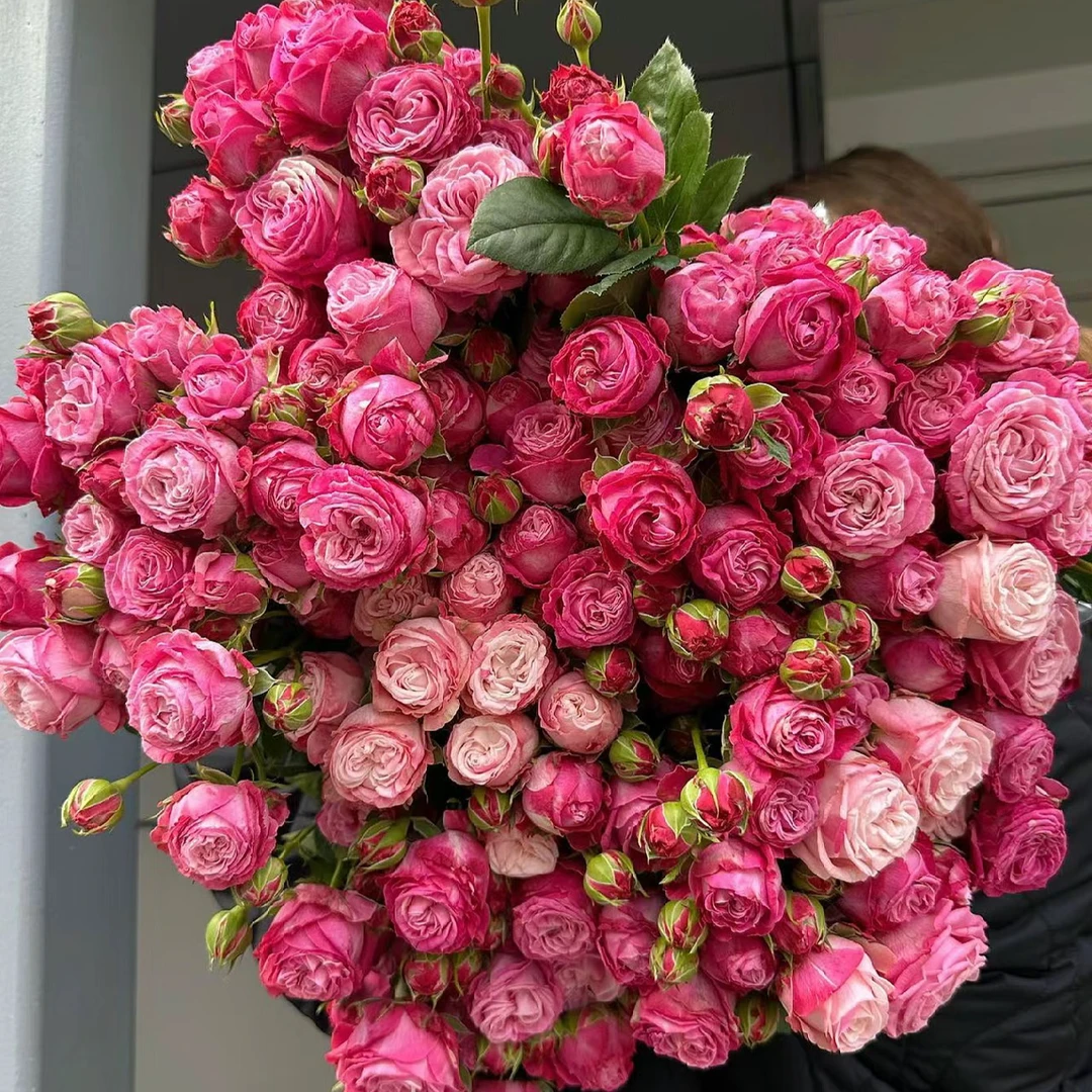 英国轻奢时尚女装福福链接