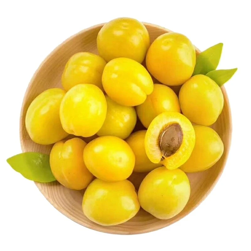 老牛推荐 新疆轮台小白杏 1件1箱/2箱 每箱净3斤 快递包邮