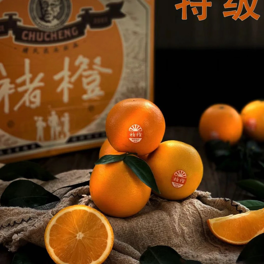 老牛专属 褚橙高山冰糖橙 特级 1件净4斤起 快递包邮