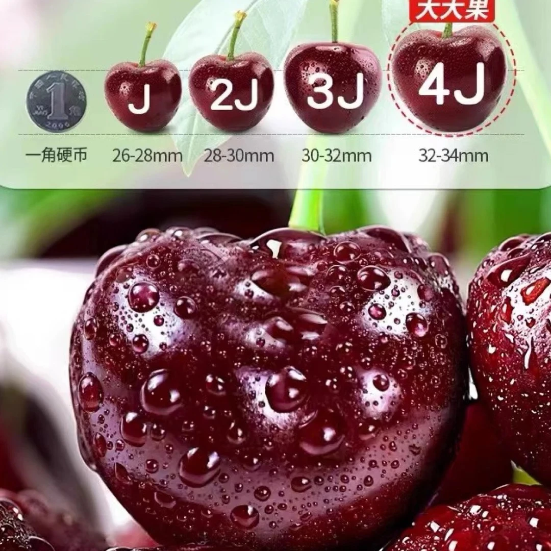 老牛专属  海运车厘子拉宾斯1-4JD 净4.5-5斤1箱包邮 内附果径卡