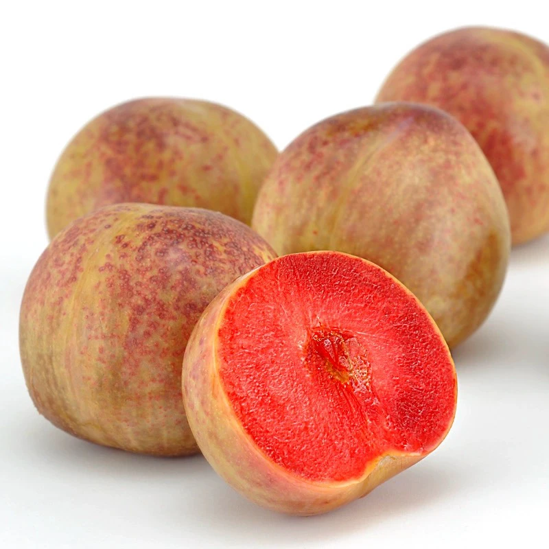 老牛专属 新疆恐龙蛋 李子 礼盒框1件净3斤 快递包邮