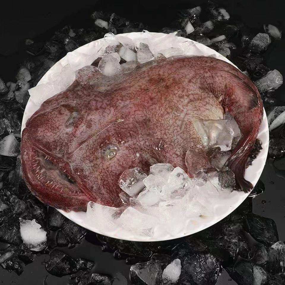 安康鱼蛤蟆鱼清理带肝肚净重8斤冷冻发货（一条有时会添小块凑斤重