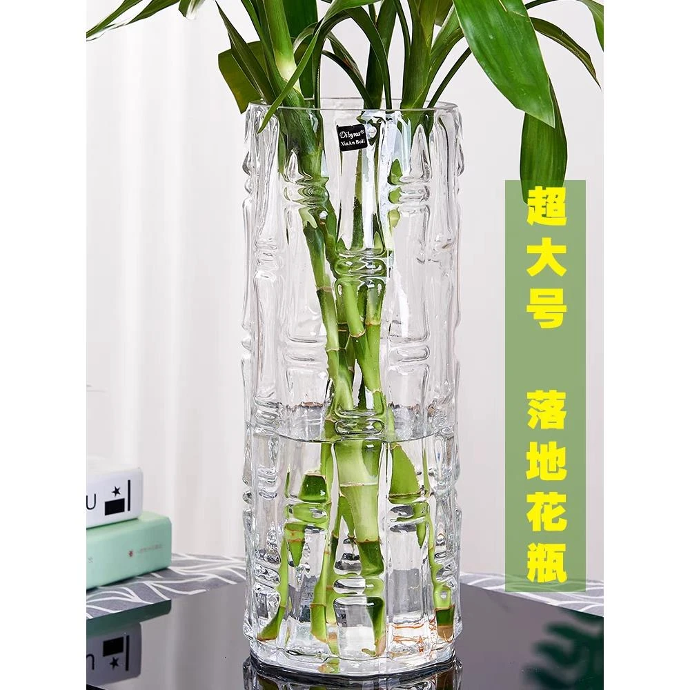 特大号落地富贵竹卧室摆件玻璃透明水培水培直筒家用客厅插花装饰