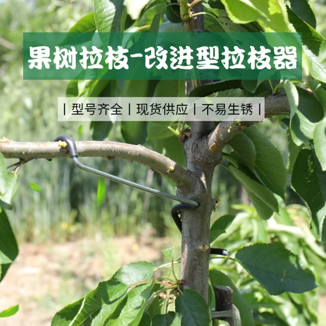 果树拉枝器改进型18厘米26厘米36厘米热镀锌钢丝材质开角定型器