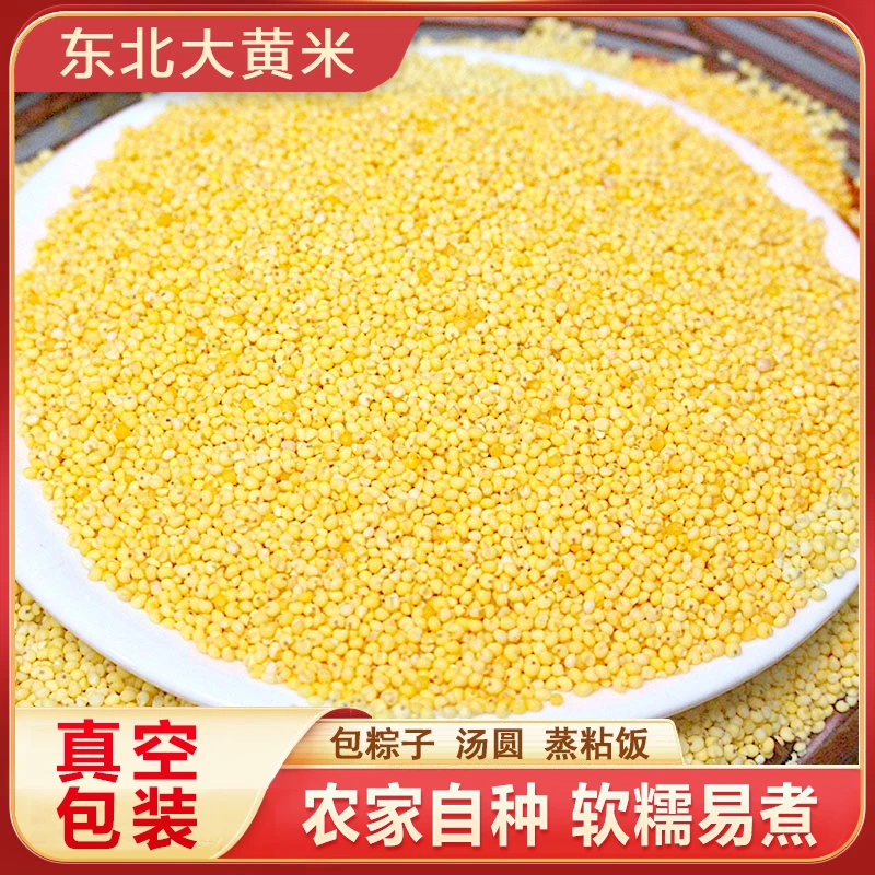 东北大黄米新米黏米粘糯小米粘豆包包粽子五谷杂粮农家黏米饭