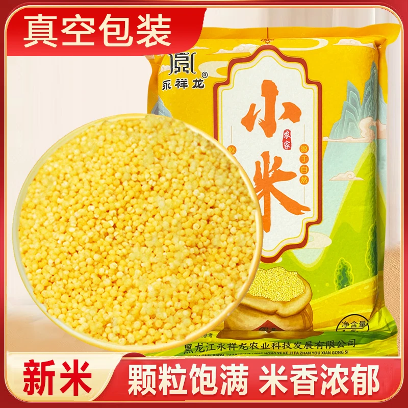 25年新粮内蒙小米大金苗当季黄小米煮饭粥农家特产月子米食用杂粮